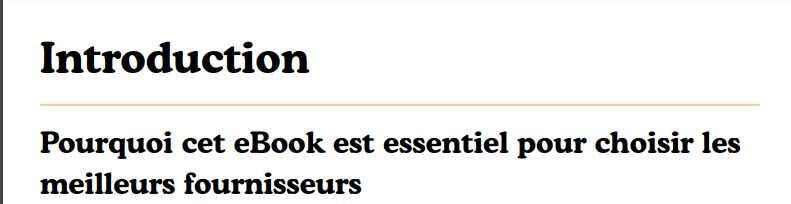 ebooks-tout savoir sur les fournisseurs